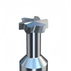 D4-D12 Customizable Tungsten Steel T-Slot (16)_副本